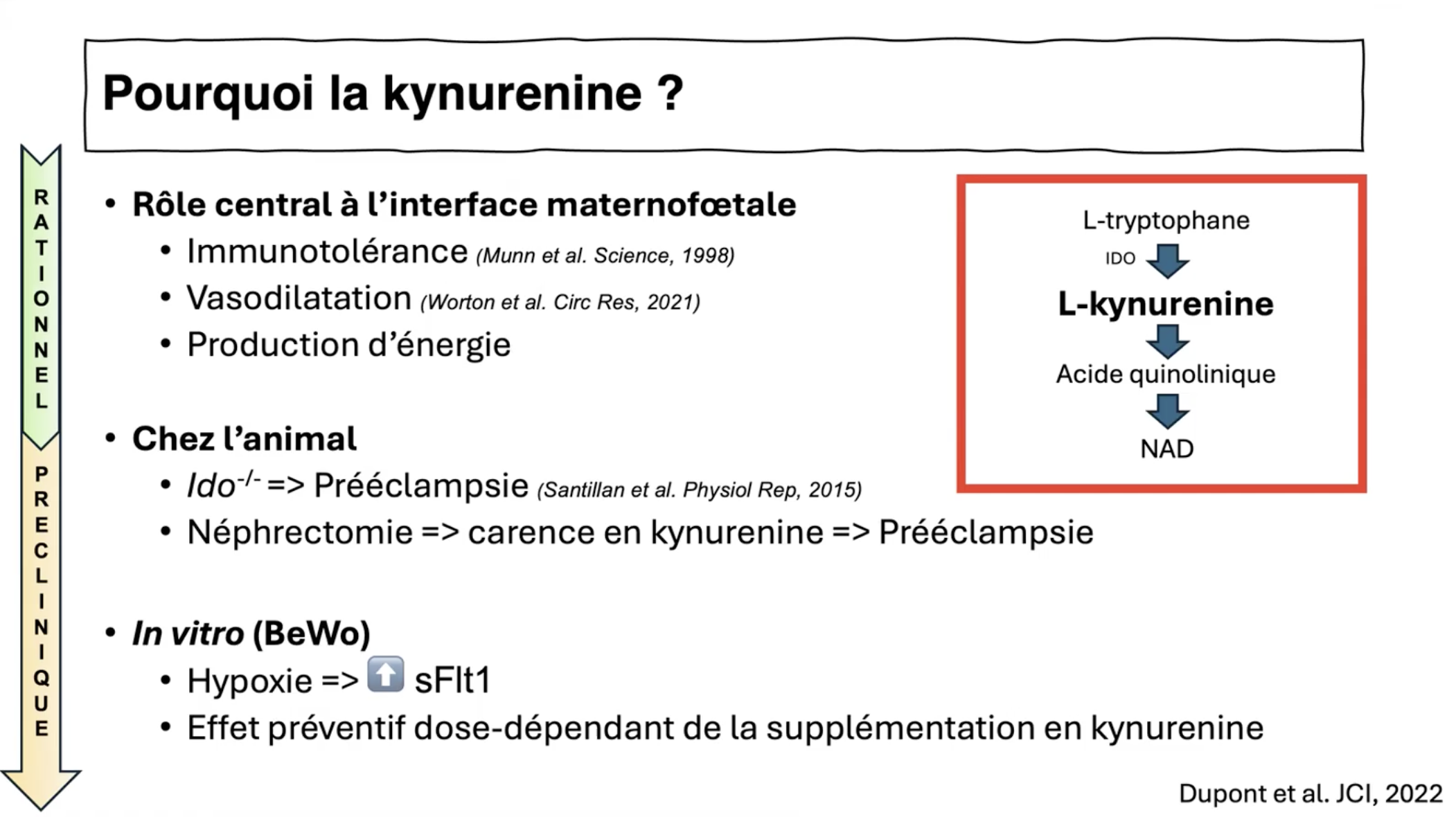 HTA, toxémie et kynurénine. Diapo 2